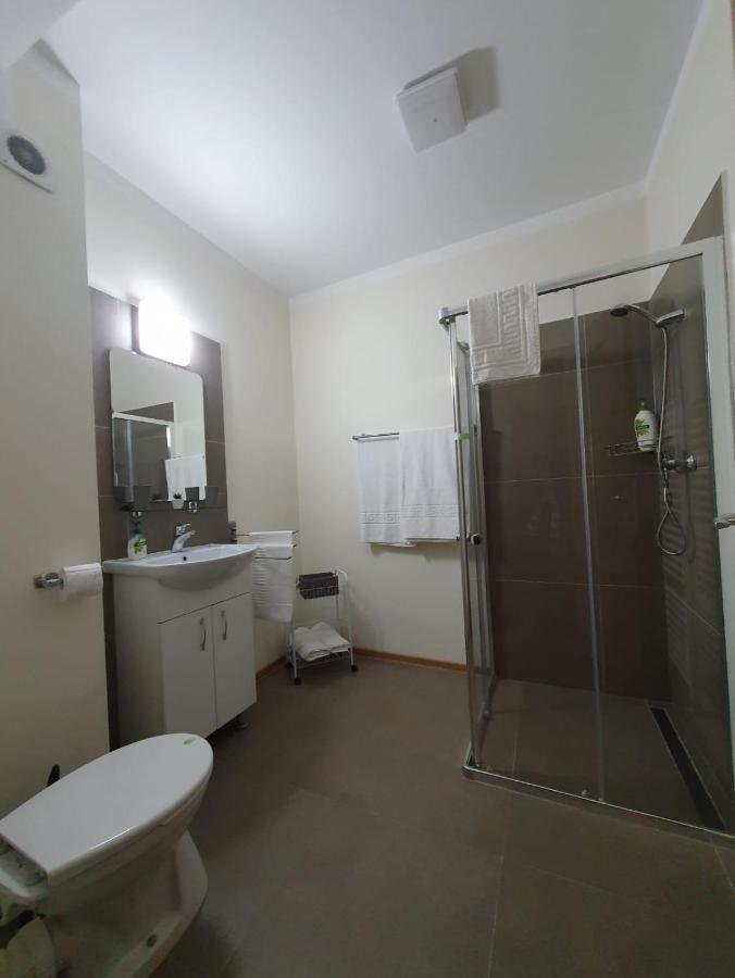 Elis Residence คลูจ-นาโปกา ภายนอก รูปภาพ
